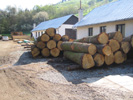 Dřevo připravené ke zpracování